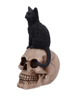 Schwarze Katze Auf Totenkopf 24,3cm -Schattenfest Verkäufe schwarze katze auf totenkopf schwarze katze auf totenschaedel black cat on skull figurine gothic deko 50840 03