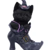 Schwarze Katze Im Hexenstiefel