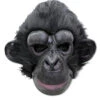 Schwarzer Schimpanse Maske