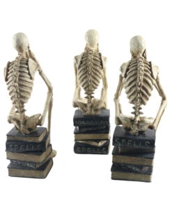 Skelette Auf Bücher Sitzend 3er-Set 35cm 5 Skelette Auf Bücher Sitzend 3er-Set 35cm -Schattenfest Verkäufe skelette auf buecher sitzend skeleton sitting on books skelett deko 54789 03