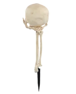 Skeletthand Mit Totenschädel Gartenstecker -Schattenfest Verkäufe skeletthand mit totenschaedel gartenstecker skull in hand groundbreaker 52647 03