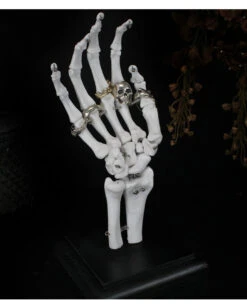 Skeletthand Schmuckhalter -Schattenfest Verkäufe skeletthand schmuckhalter skeletthand schmuckstaender skeleton hand jewellery stand 53198 01