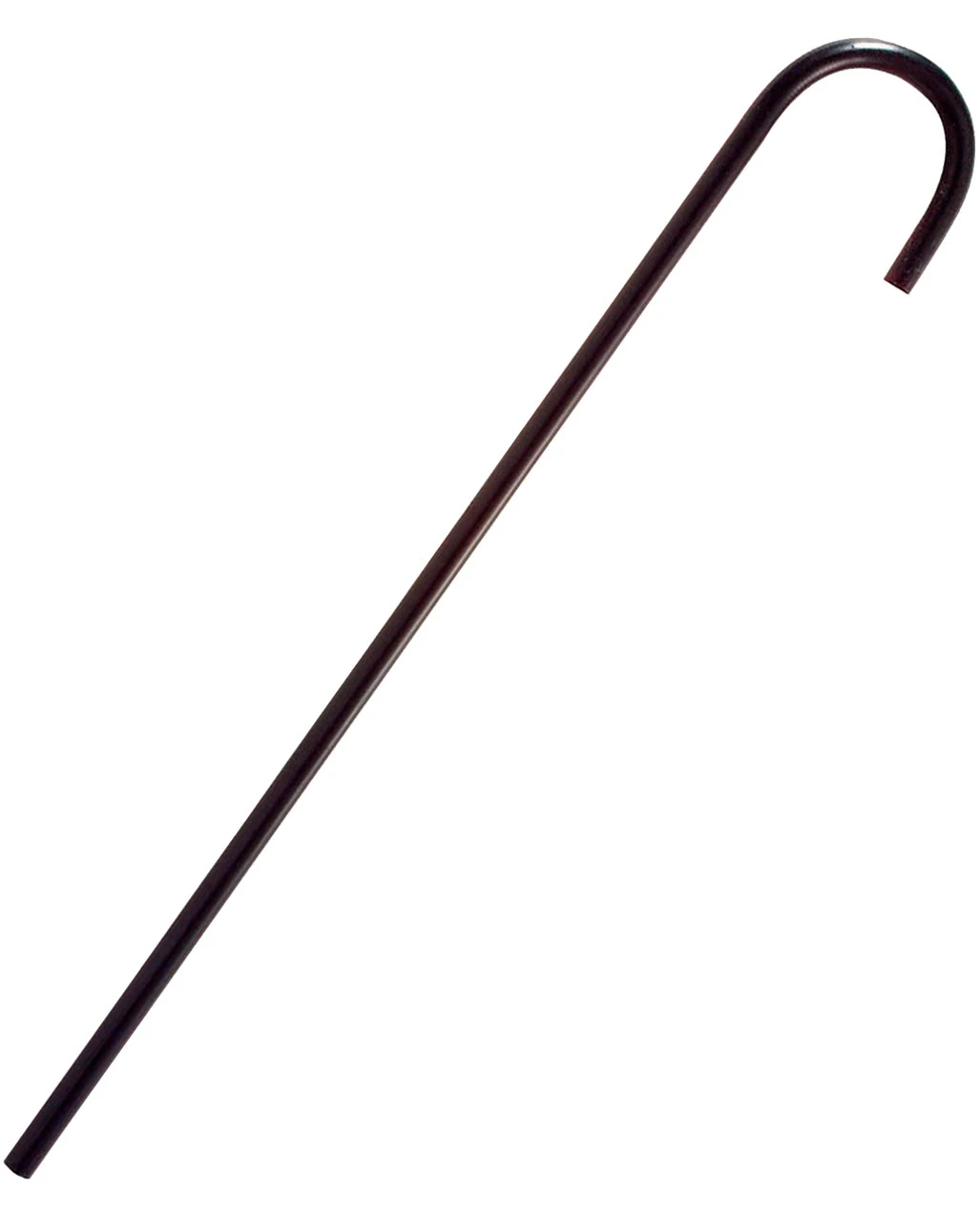 Spazierstock Charlie 1 Spazierstock Charlie