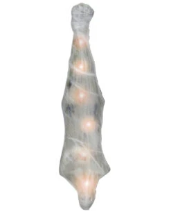 Skelett Im Spinnen Cocoon Leuchtend