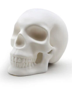 Totenkopf Lampe Aus Porzellan 20cm -Schattenfest Verkäufe totenkopf lampe aus porzellan totenschaedel lampe aus porzellan porecelain skull lamp 53489 03