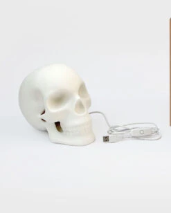 Totenkopf Lampe Aus Porzellan 20cm -Schattenfest Verkäufe totenkopf lampe aus porzellan totenschaedel lampe aus porzellan porecelain skull lamp 53489 04