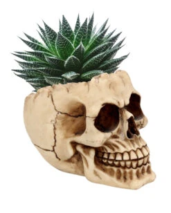 Totenschädel Schale Mit Offener Schädeldecke -Schattenfest Verkäufe totenschaedel schale mit offener schaedeldecke realistic skull mug morbide gothic deko halloween deko totenschaedel 39289 2