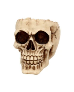Totenschädel Schale Mit Offener Schädeldecke -Schattenfest Verkäufe totenschaedel schale mit offener schaedeldecke realistic skull mug morbide gothic deko halloween deko totenschaedel 39289 3