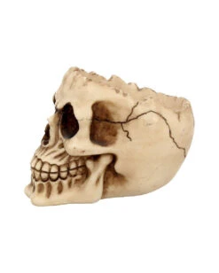 Totenschädel Schale Mit Offener Schädeldecke -Schattenfest Verkäufe totenschaedel schale mit offener schaedeldecke realistic skull mug morbide gothic deko halloween deko totenschaedel 39289 4