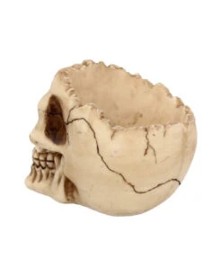 Totenschädel Schale Mit Offener Schädeldecke -Schattenfest Verkäufe totenschaedel schale mit offener schaedeldecke realistic skull mug morbide gothic deko halloween deko totenschaedel 39289 5
