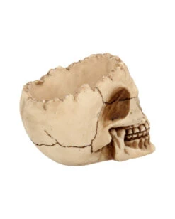 Totenschädel Schale Mit Offener Schädeldecke -Schattenfest Verkäufe totenschaedel schale mit offener schaedeldecke realistic skull mug morbide gothic deko halloween deko totenschaedel 39289 6