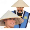 Vietnamesen Hut Aus Stroh