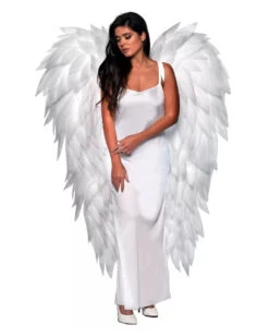 Federlose Weiße Flügel