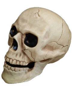 Wetterfester Totenkopf Mit Beweglichem Kiefer 20cm
