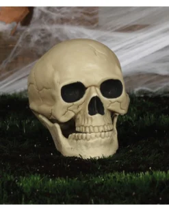 Wetterfester Totenkopf Mit Beweglichem Kiefer 20cm -Schattenfest Verkäufe wetterfester totenkopf mit beweglichem kiefer weatherproof skull with moveable jaw halloween totenschaedel 53405 04